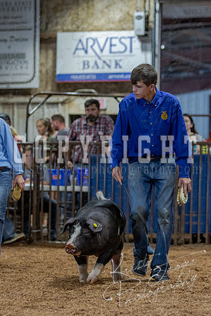 2021_MAYESCOUNTYFAIR_-4733