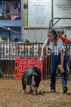 2021_MAYESCOUNTYFAIR_-4734