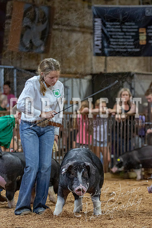 2021_MAYESCOUNTYFAIR_-4736