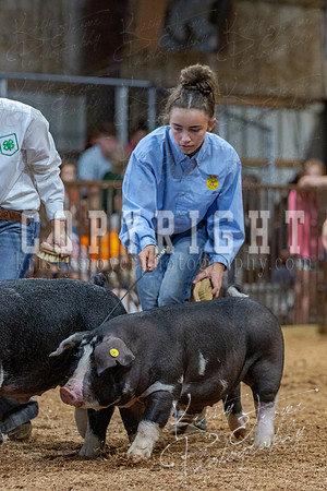 2021_MAYESCOUNTYFAIR_-4737