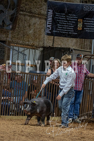 2021_MAYESCOUNTYFAIR_-4739