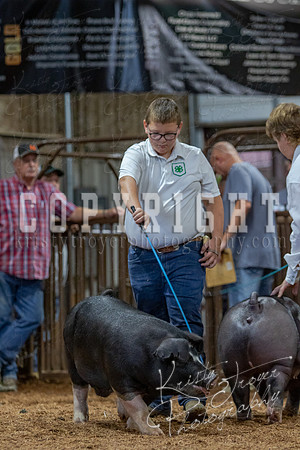 2021_MAYESCOUNTYFAIR_-4741