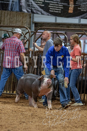 2021_MAYESCOUNTYFAIR_-4740