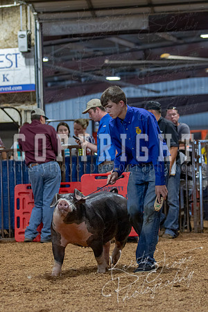 2021_MAYESCOUNTYFAIR_-4742