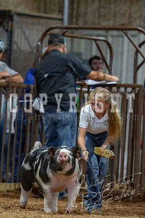 2021_MAYESCOUNTYFAIR_-4745