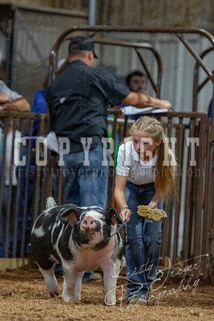 2021_MAYESCOUNTYFAIR_-4746