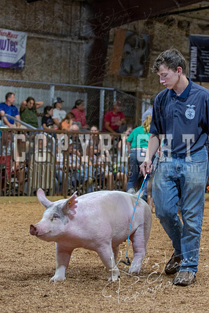 2021_MAYESCOUNTYFAIR_-4828