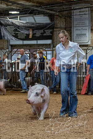 2021_MAYESCOUNTYFAIR_-4829