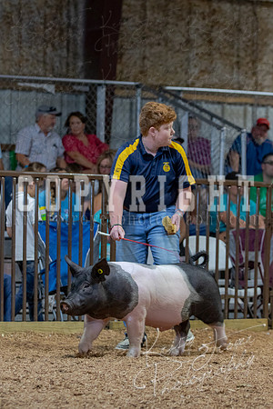 2021_MAYESCOUNTYFAIR_-4830