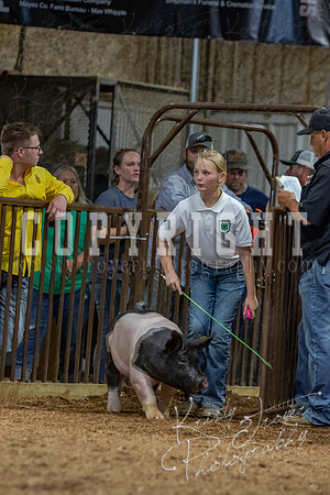 2021_MAYESCOUNTYFAIR_-4831