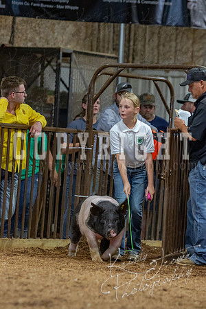 2021_MAYESCOUNTYFAIR_-4833