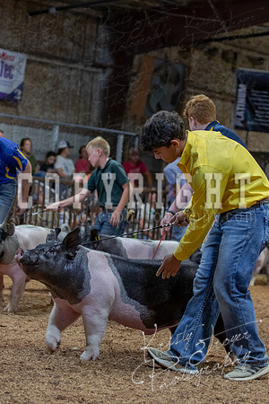 2021_MAYESCOUNTYFAIR_-4834