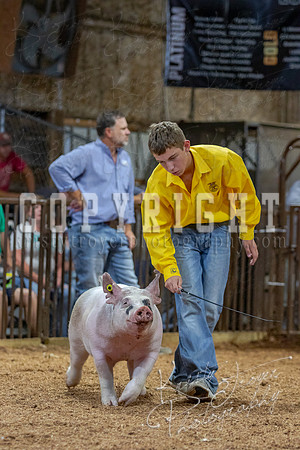 2021_MAYESCOUNTYFAIR_-4835