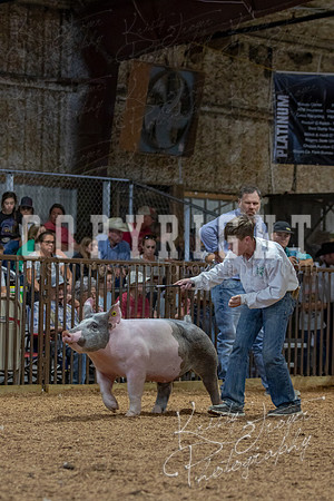 2021_MAYESCOUNTYFAIR_-4841