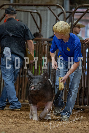 2021_MAYESCOUNTYFAIR_-4842