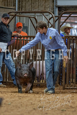 2021_MAYESCOUNTYFAIR_-4844