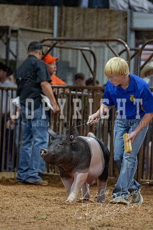 2021_MAYESCOUNTYFAIR_-4843