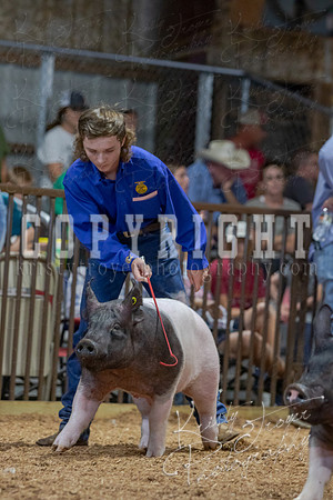 2021_MAYESCOUNTYFAIR_-4846