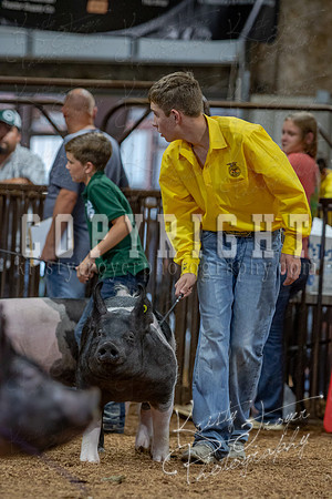 2021_MAYESCOUNTYFAIR_-4847