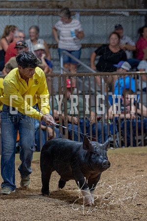 2021_MAYESCOUNTYFAIR_-4849