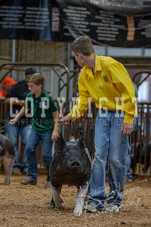 2021_MAYESCOUNTYFAIR_-4848
