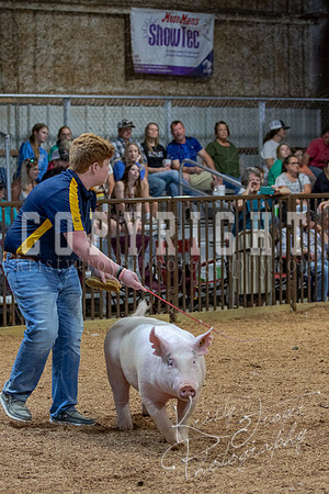 2021_MAYESCOUNTYFAIR_-4850