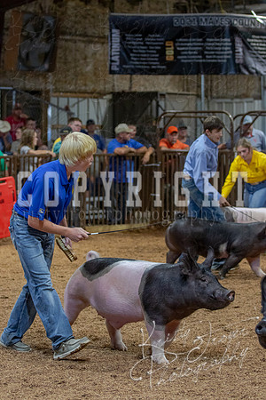 2021_MAYESCOUNTYFAIR_-4851