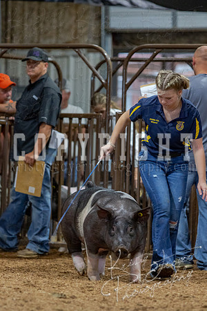 2021_MAYESCOUNTYFAIR_-4858