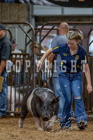 2021_MAYESCOUNTYFAIR_-4859