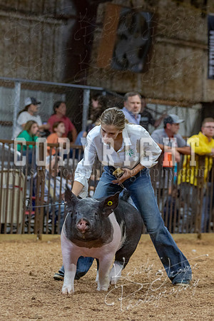 2021_MAYESCOUNTYFAIR_-4860