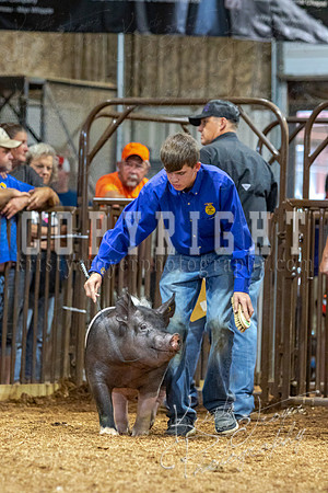 2021_MAYESCOUNTYFAIR_-4861