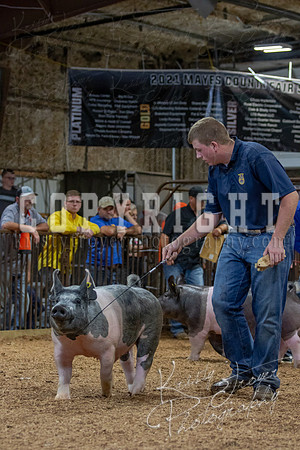 2021_MAYESCOUNTYFAIR_-4863