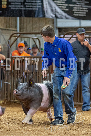 2021_MAYESCOUNTYFAIR_-4867