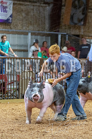 2021_MAYESCOUNTYFAIR_-4866