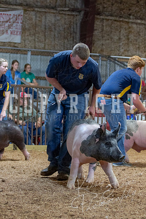 2021_MAYESCOUNTYFAIR_-4869