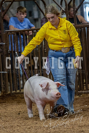 2021_MAYESCOUNTYFAIR_-4872