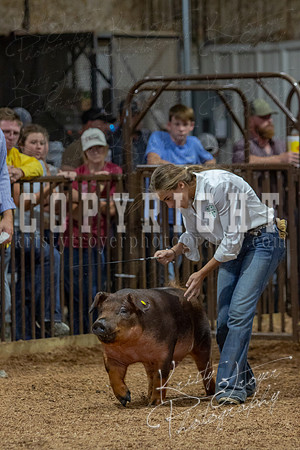 2021_MAYESCOUNTYFAIR_-4874
