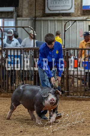 2021_MAYESCOUNTYFAIR_-4876