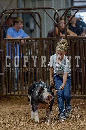 2021_MAYESCOUNTYFAIR_-4877