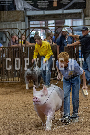 2021_MAYESCOUNTYFAIR_-4878