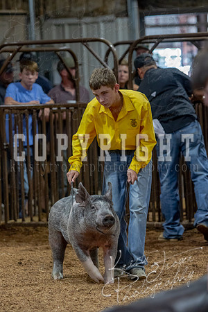 2021_MAYESCOUNTYFAIR_-4879