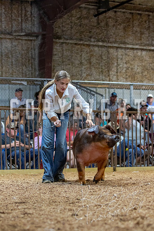 2021_MAYESCOUNTYFAIR_-4885