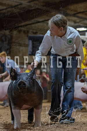 2021_MAYESCOUNTYFAIR_-4888