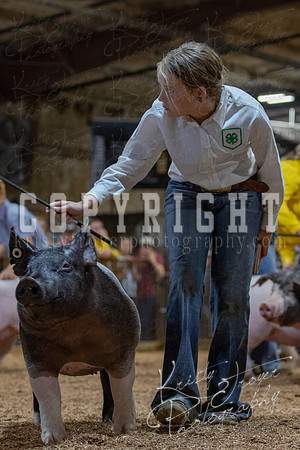 2021_MAYESCOUNTYFAIR_-4889