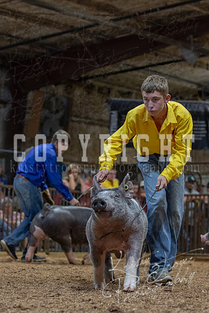 2021_MAYESCOUNTYFAIR_-4891