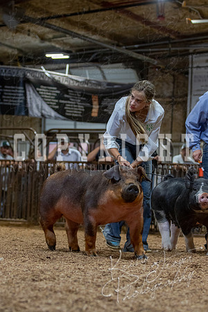 2021_MAYESCOUNTYFAIR_-4894