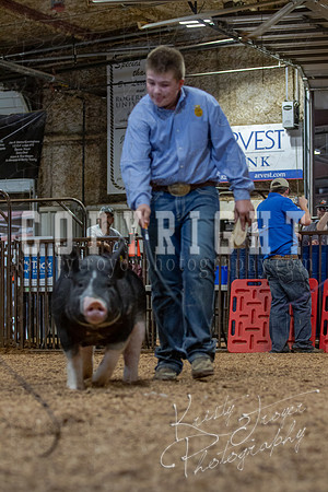 2021_MAYESCOUNTYFAIR_-4898