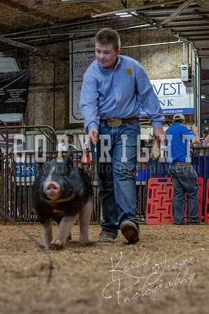 2021_MAYESCOUNTYFAIR_-4899