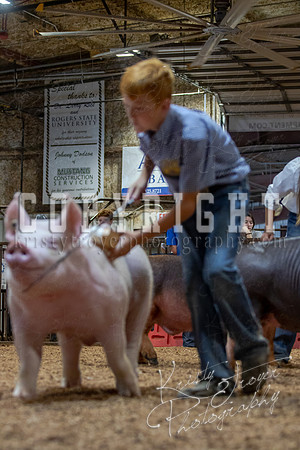 2021_MAYESCOUNTYFAIR_-4901