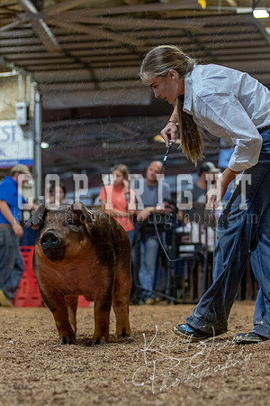 2021_MAYESCOUNTYFAIR_-4902